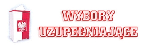 Wybory uzupełniające